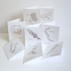 Greeting & Holiday Cards